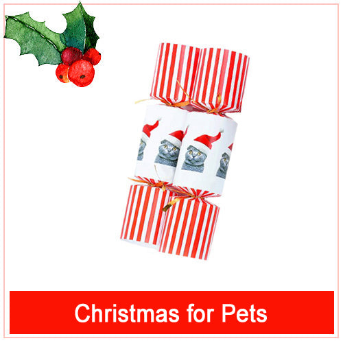 Pet Christmas Crackers &amp; Toys