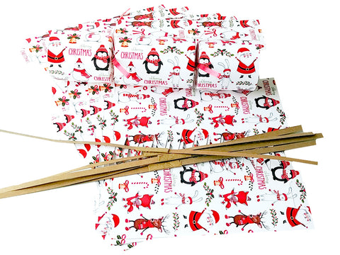 DIY Christmas Cracker Kit | "Penguins, Santas, Bears"
