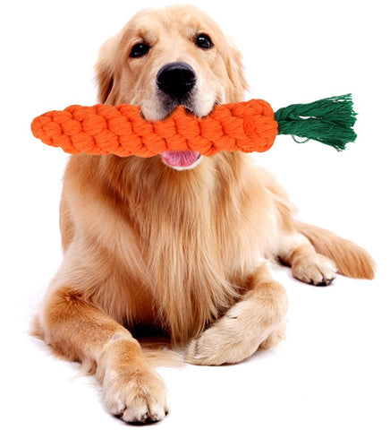 Dog with Carrot Chew Toy